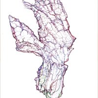 ohne Titel/Untitled. Kugelschreiberzeichnung/Ballpoint Pen Drawing. 2022. 100x70 cm
