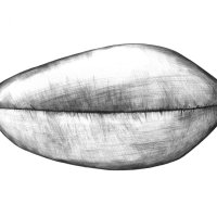 Weizen Samen/Wheat Seed (Triticum aestivum), Kugelschreiber Zeichnung/Ballpoint Pen Drawing A3, 2001